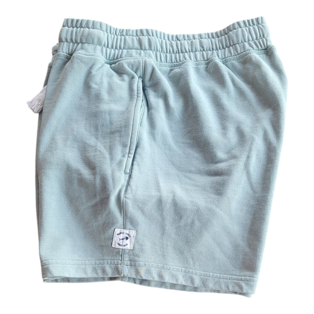 Blue Relaxed Fit Shorts with Elastic Waistband